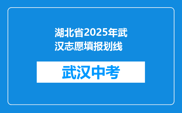 湖北省2025年武汉志愿填报划线