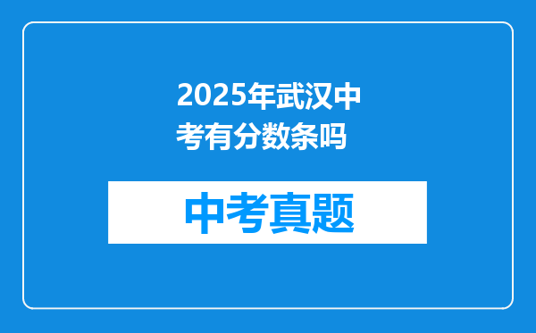 2025年武汉中考有分数条吗