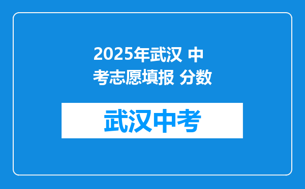 2025年武汉 中考志愿填报 分数