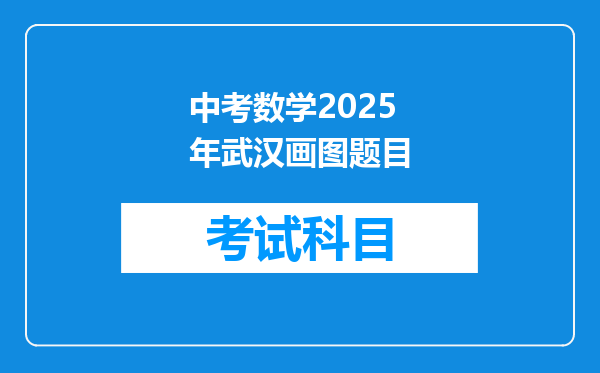 中考数学2025年武汉画图题目
