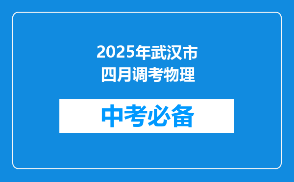 2025年武汉市 四月调考物理