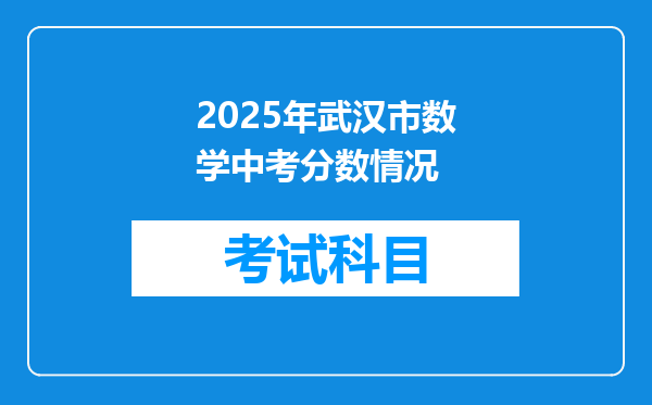 2025年武汉市数学中考分数情况