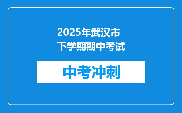 2025年武汉市下学期期中考试