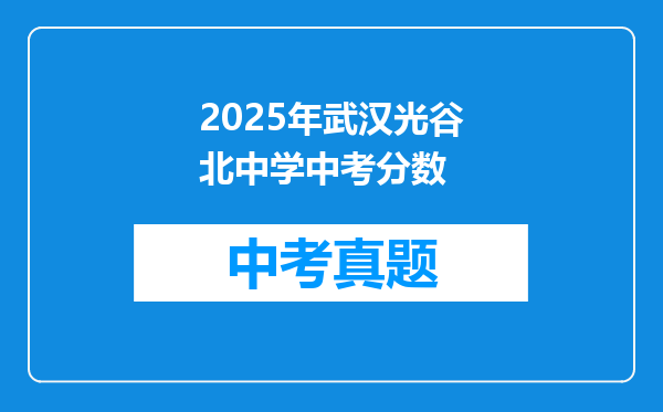 2025年武汉光谷北中学中考分数