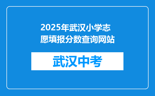 2025年武汉小学志愿填报分数查询网站