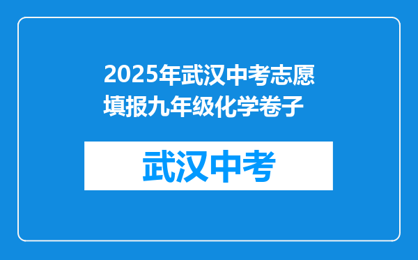 2025年武汉中考志愿填报九年级化学卷子