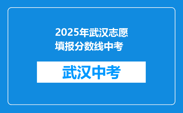 2025年武汉志愿填报分数线中考