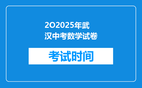 2O2025年武汉中考数学试卷