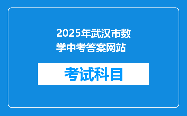 2025年武汉市数学中考答案网站