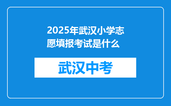 2025年武汉小学志愿填报考试是什么