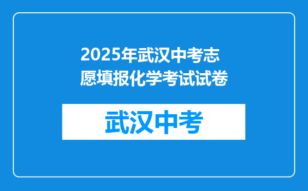 2025年武汉中考志愿填报化学考试试卷