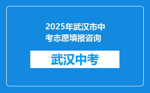 2026年武汉市中考志愿填报咨询