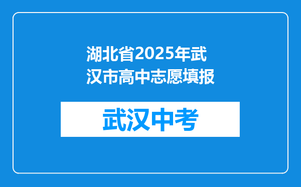 湖北省2025年武汉市高中志愿填报