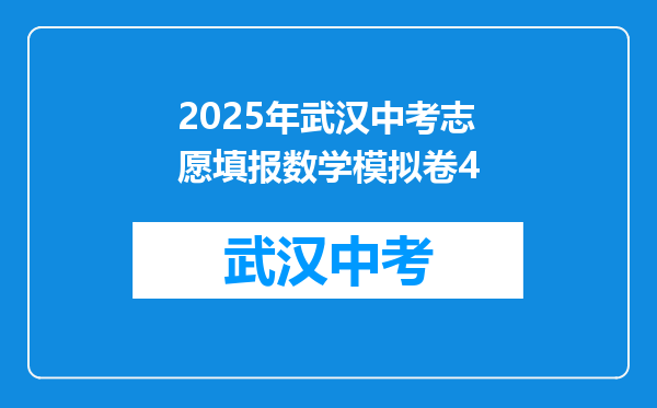2025年武汉中考志愿填报数学模拟卷4