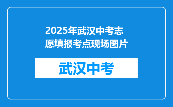 2025年武汉中考志愿填报考点现场图片