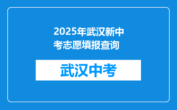 2025年武汉新中考志愿填报查询