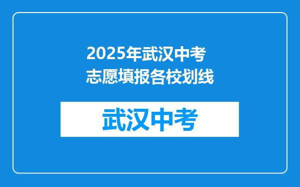 2025年武汉中考志愿填报各校划线