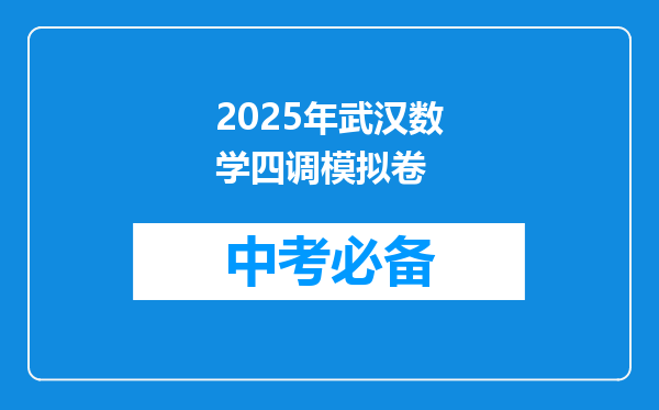 2025年武汉数学四调模拟卷
