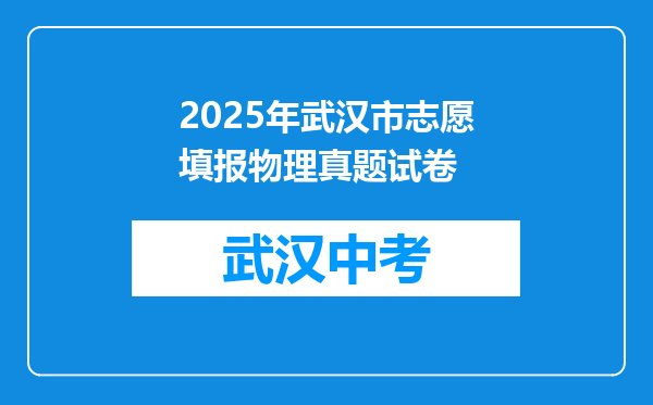 2025年武汉市志愿填报物理真题试卷