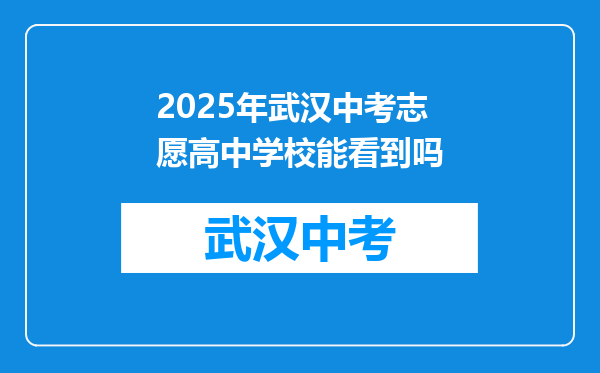 2025年武汉中考志愿高中学校能看到吗