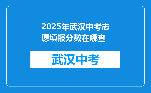 2025年武汉中考志愿填报分数在哪查