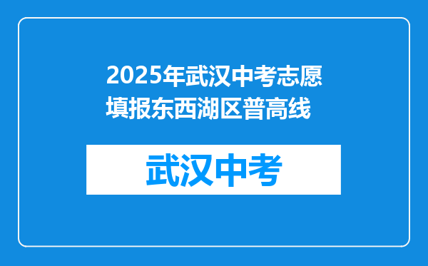 2025年武汉中考志愿填报东西湖区普高线