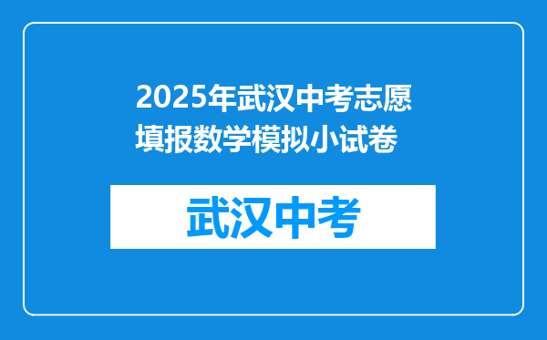 2025年武汉中考志愿填报数学模拟小试卷