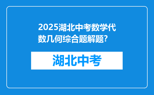 2025湖北中考数学代数几何综合题解题？