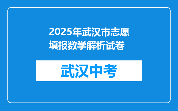 2025年武汉市志愿填报数学解析试卷