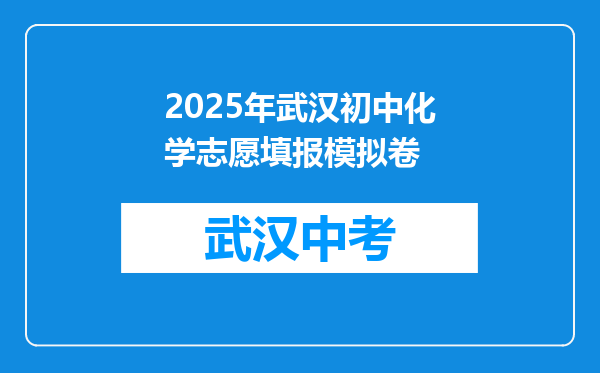 2025年武汉初中化学志愿填报模拟卷