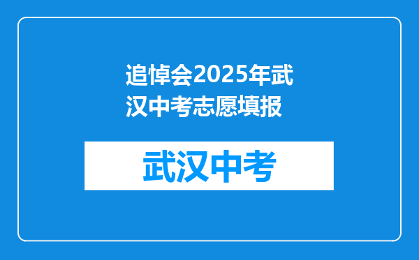 追悼会2025年武汉中考志愿填报