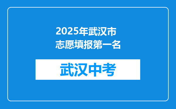 2025年武汉市志愿填报第一名