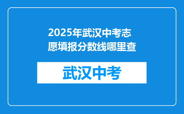 2025年武汉中考志愿填报分数线哪里查