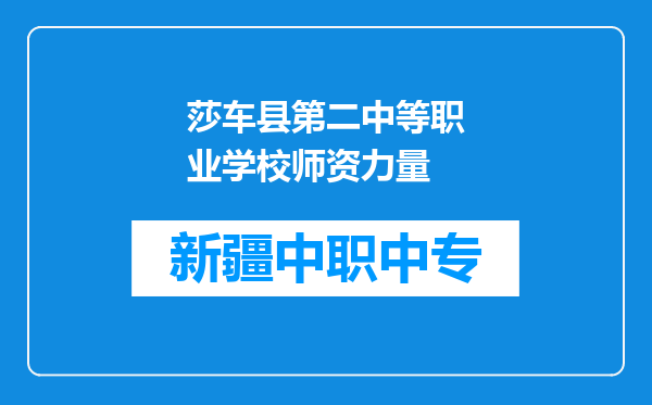莎车县第二中等职业学校师资力量