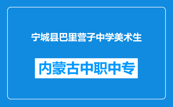 宁城县巴里营子中学美术生