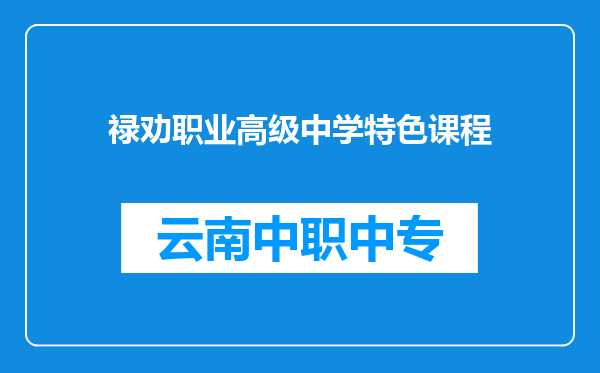 禄劝职业高级中学特色课程