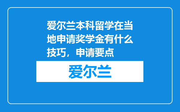 爱尔兰本科留学在当地申请奖学金有什么技巧，申请要点