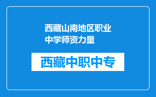 西藏山南地区职业中学师资力量