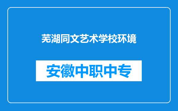 芜湖同文艺术学校环境