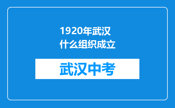 1920年武汉什么组织成立