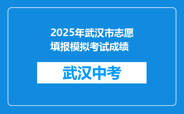 2025年武汉市志愿填报模拟考试成绩