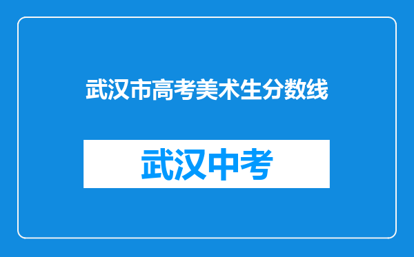 武汉市高考美术生分数线