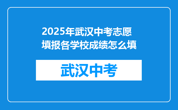 2025年武汉中考志愿填报各学校成绩怎么填