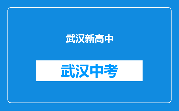 武汉新高中