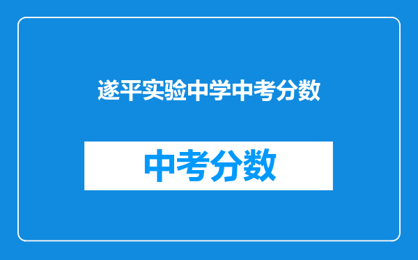 遂平实验中学中考分数
