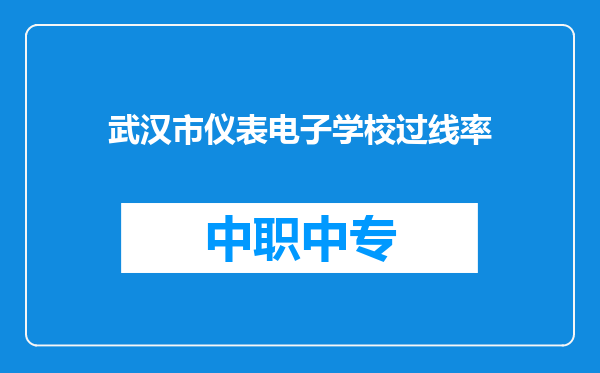 武汉市仪表电子学校过线率