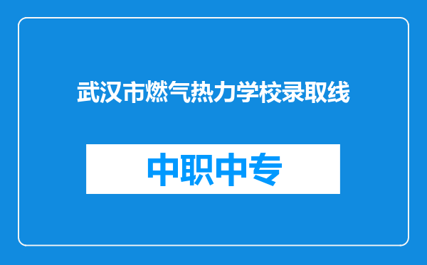 武汉市燃气热力学校录取线