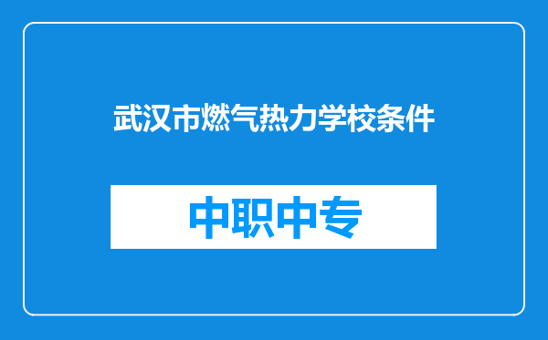 武汉市燃气热力学校条件