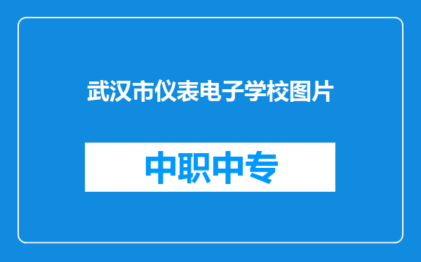 武汉市仪表电子学校图片