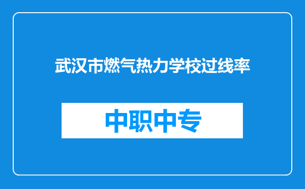 武汉市燃气热力学校过线率